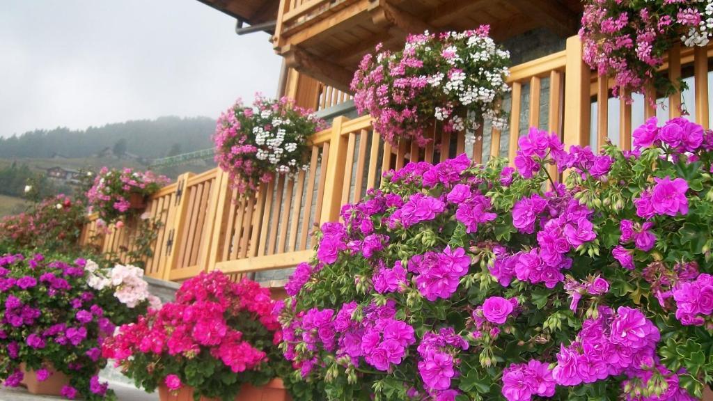 Gresil Residence Champoluc Exterior foto